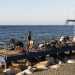 Su un pontile della spiaggia, a una manciata di metri dalle onde che si infrangono sulla battigia, avvistiamo un altro piccolo raduno di praticanti